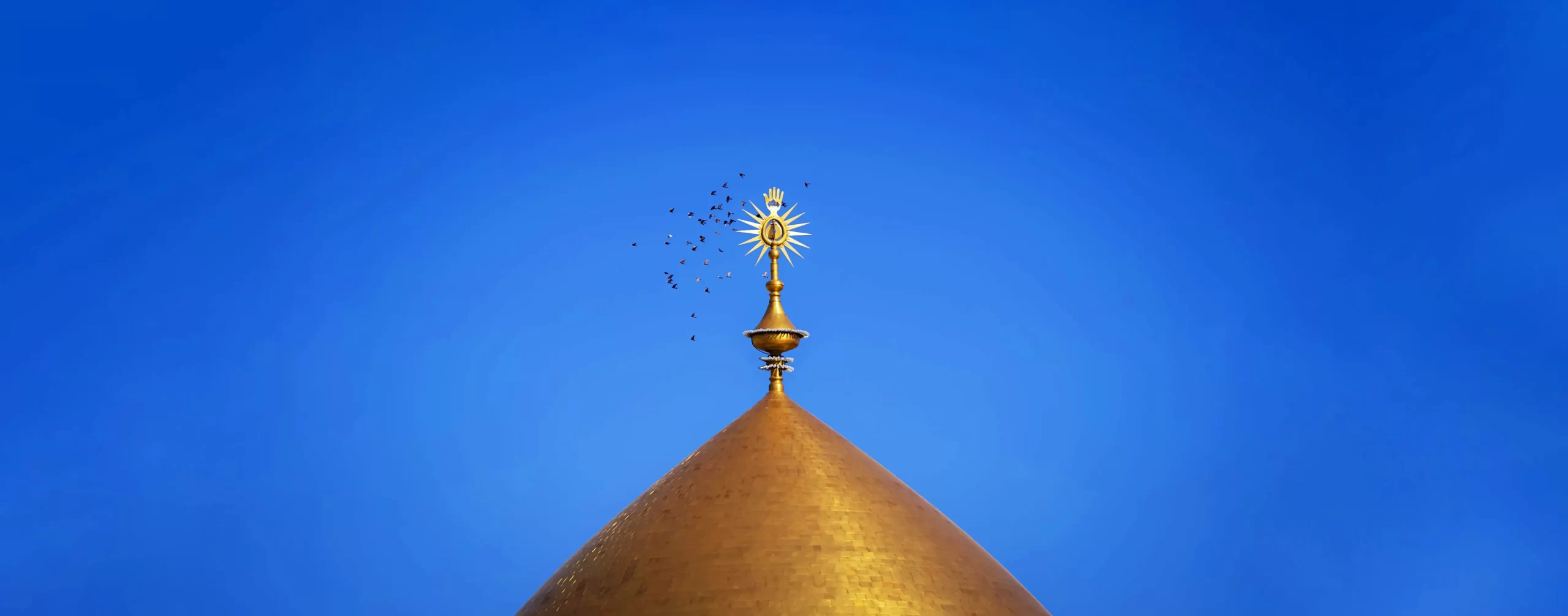 SRI Feature in ‘The Compass’ Journal of the Holy Shrine of Imam Ali